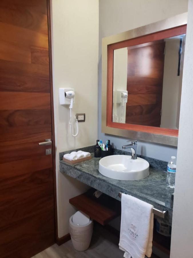 Hotel Arista 1026 San Luis Potosi Ngoại thất bức ảnh